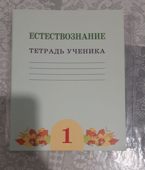 Рабочие тетради 1 класс