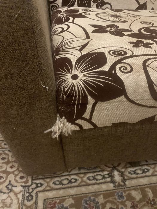 Отдам даром диван и тахту.