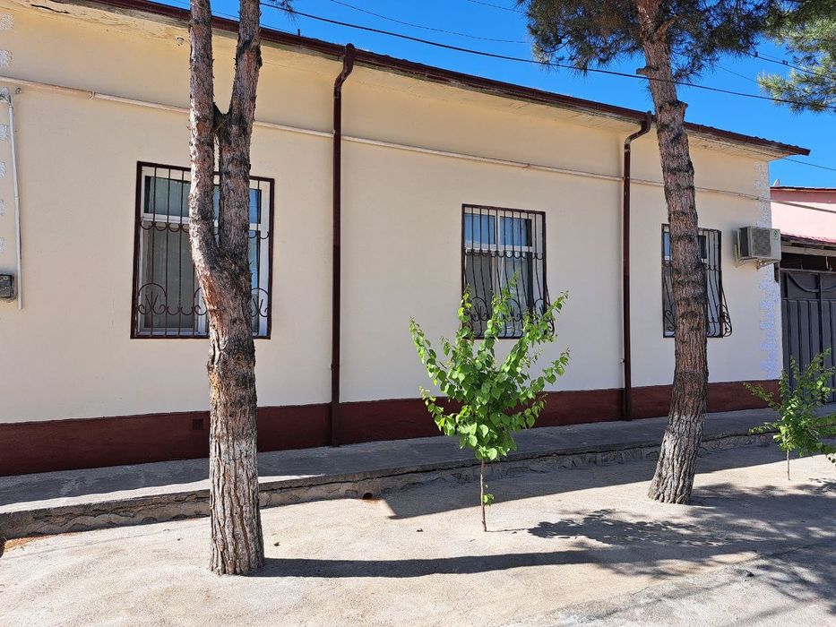 Srochna Kotej sotiladi