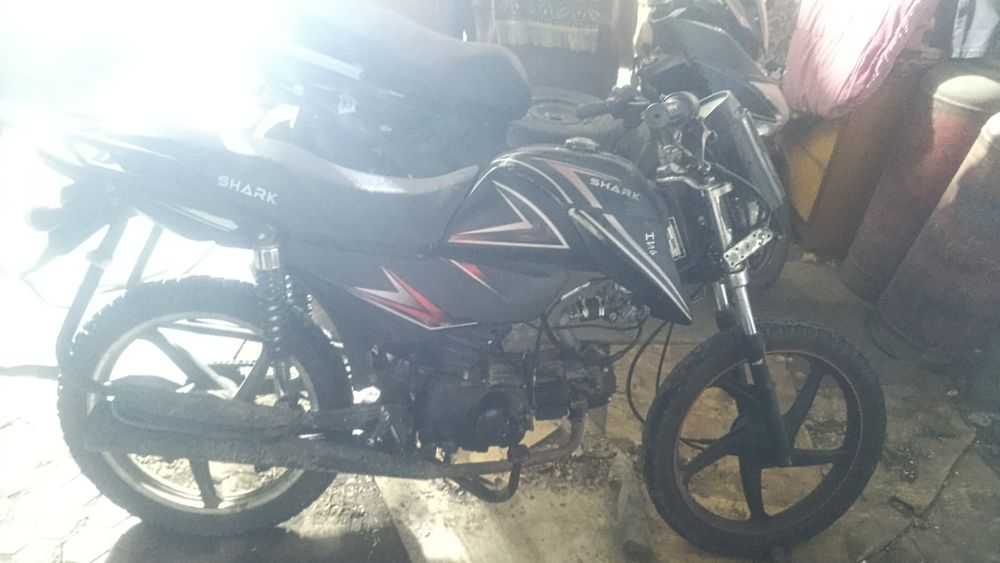 Альфа сшарк на ходу