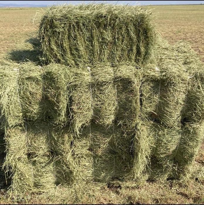 Сено 1000 тг оптам и розницу