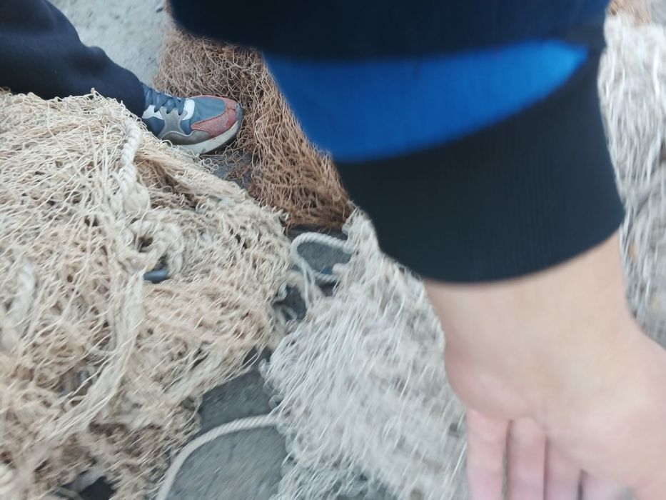 Балик тур сотилади