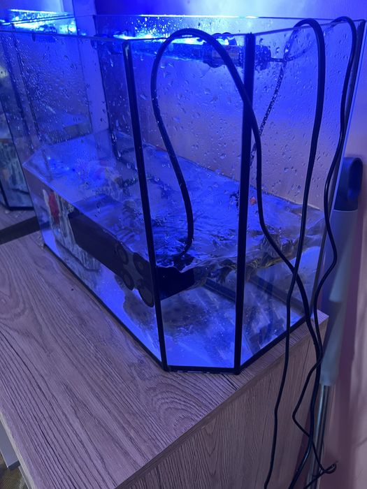 Аквариум с черепахами