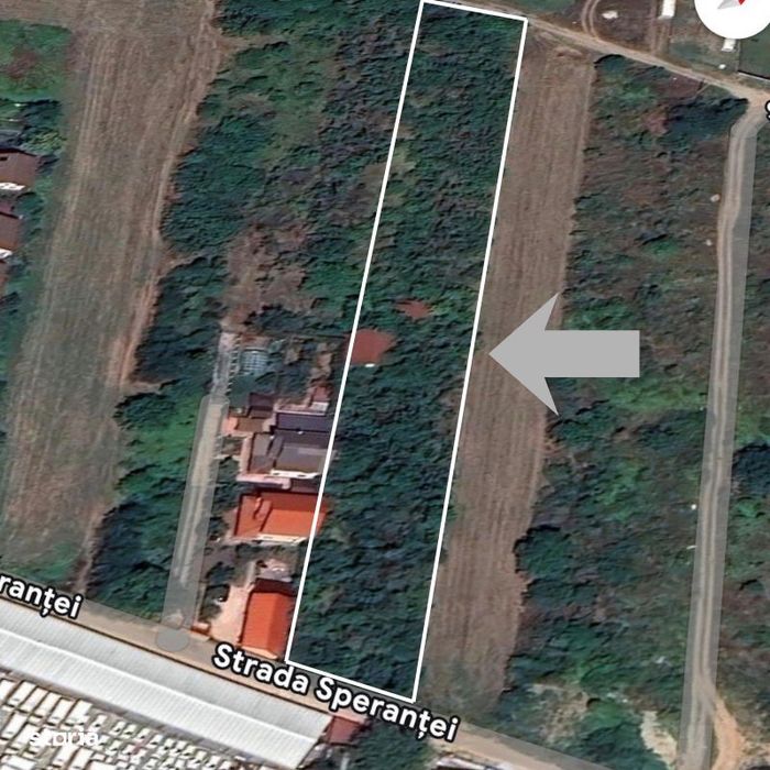 Vanzare teren intravilan 5014mp Afumati - Strada Sperantei