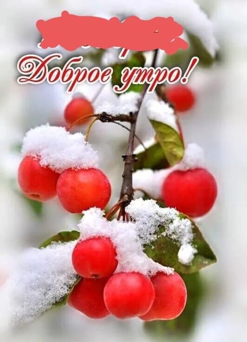 Продам замороженные ягоды