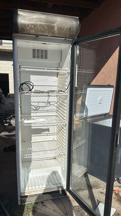 Холаделник   келысымды