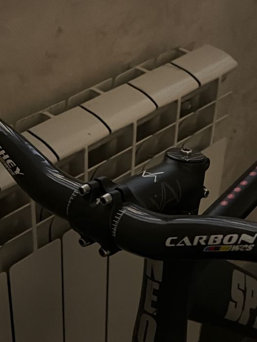 Springer Neo fixed gear