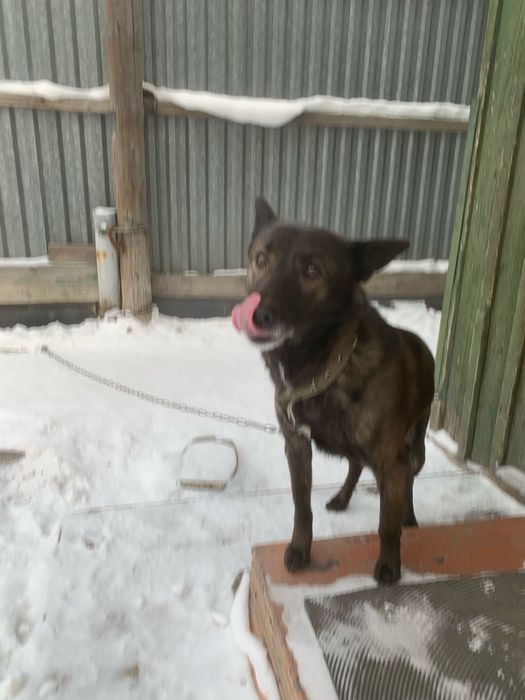 Мальчишка ищет дом