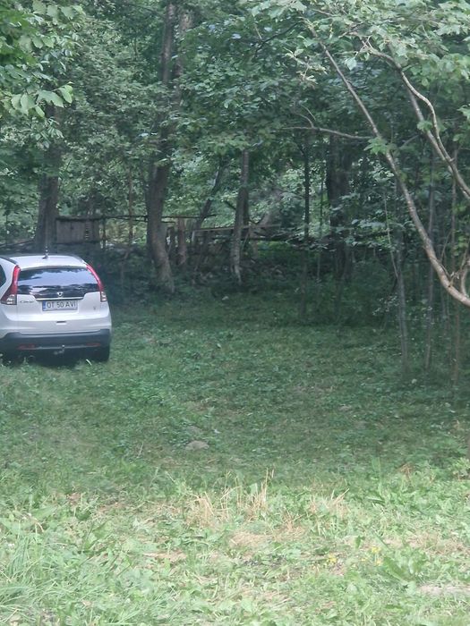 VÎND TEREN LA MUNTE intravilan lingă rîul Lotru