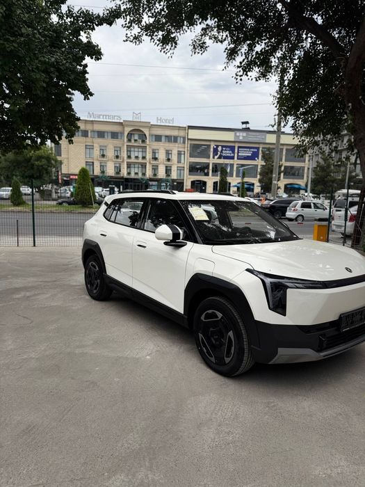 Dongfeng Nammi 06 2026