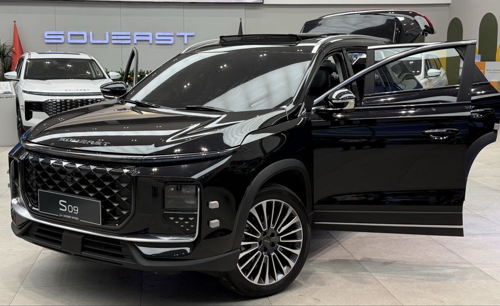 SOUEAST S 09 DM rasrochka kredit