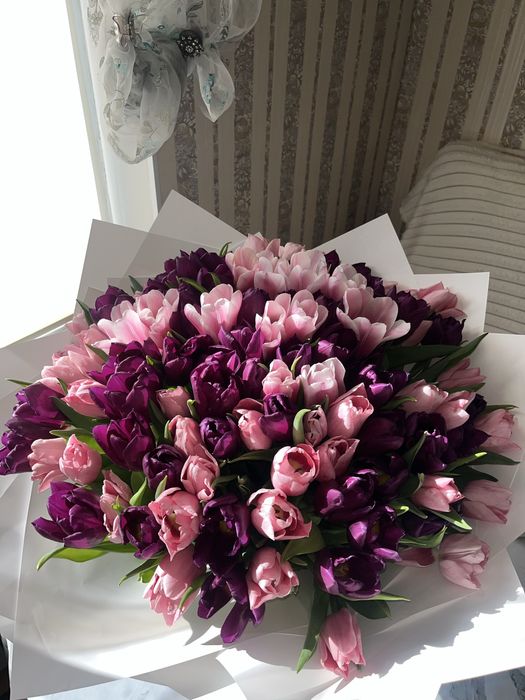 Тюльпан 101шт продается