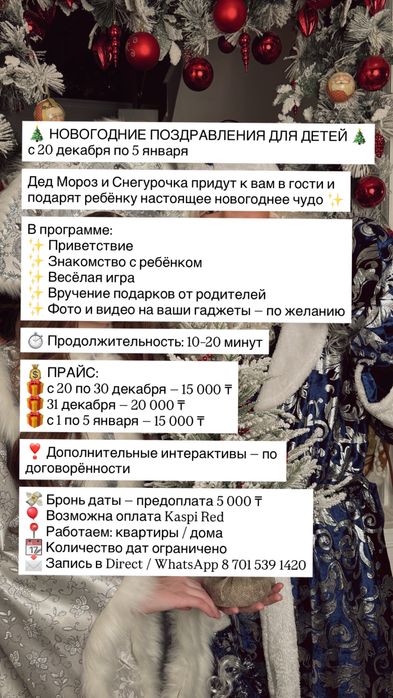 Дед мороз и снегурочка на дом