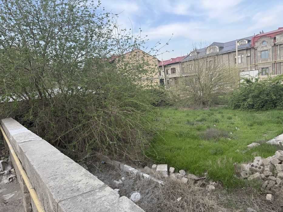 Ер СОТИЛАДИ изза теплица кочада