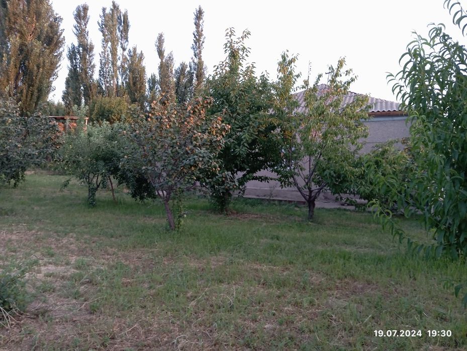 Уй сотилади,20 сотих! Булип хам сотаман,5 ёки 6 сотихдан!