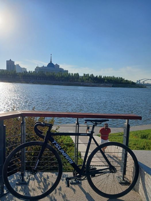 Фикс Тсунами снм 100
