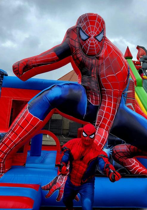 Închirieri topogane