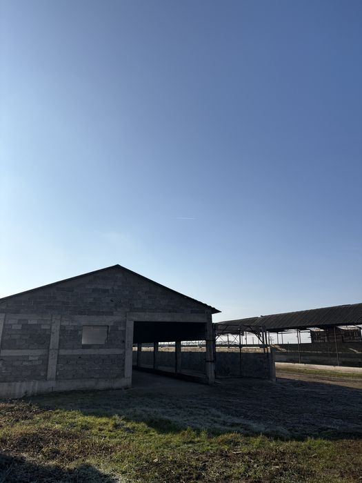 Vând sau inchiriez mai multe hale / Jumatate de Hectar