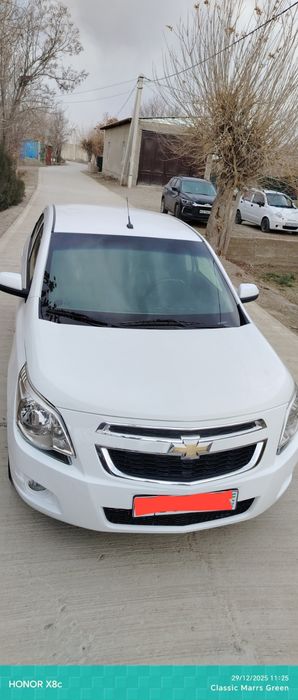 Metan gazlari bor kraskasi radnoy