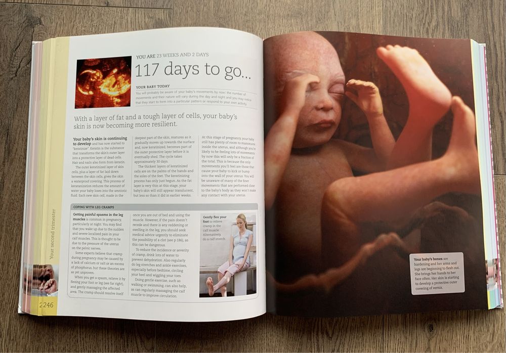 Carte despre sarcina “Day-by-Day Pregnancy Book” by Dr. Maggie Blott