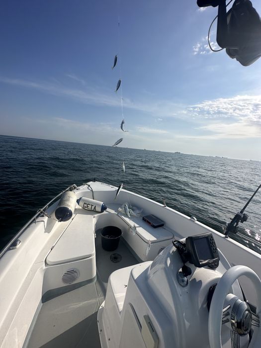 Barca / Salupa Delphin 5.5.An 2020 cu motor Yamaha 80 cp (100 h) + peridoc inmatriculat. Pescuit, agrement, etc
