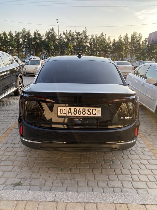 Hongqi eqm5 500 tali