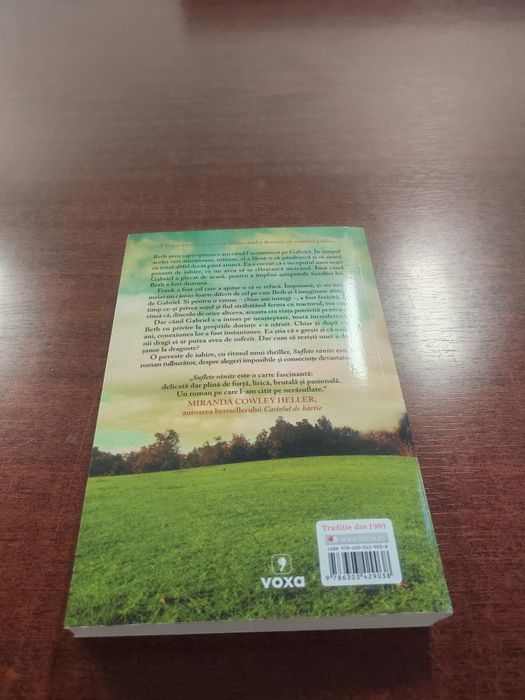 Roman de Clare Leslie Hall