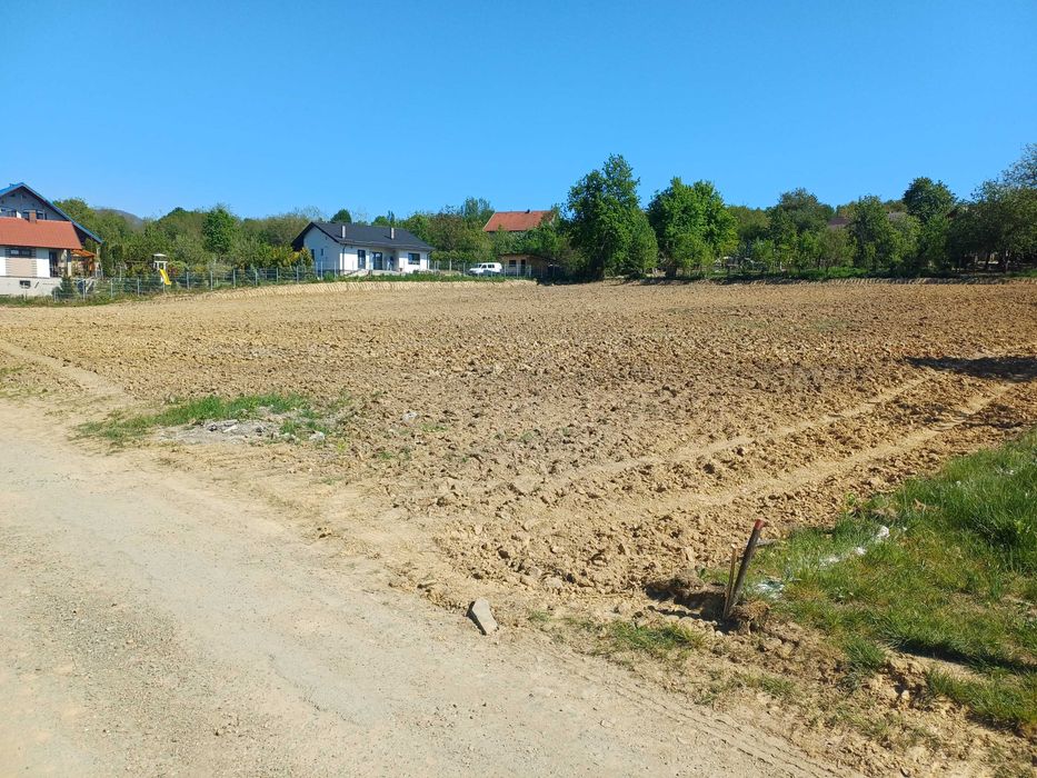 Terenul Perfect Pentru Casa Ta! Parcelă de 7 Ari într-o Zonă Superbă – Baia Sprie, Str. Murelor
