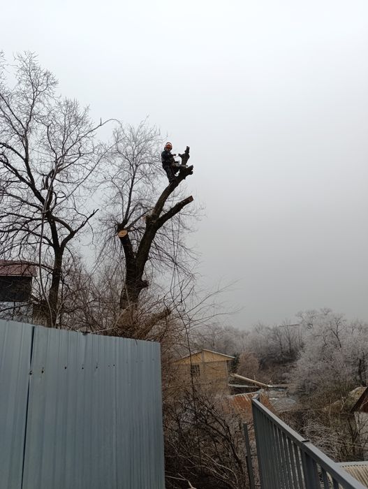 Вывоз мусора,доставка Спил деревьев