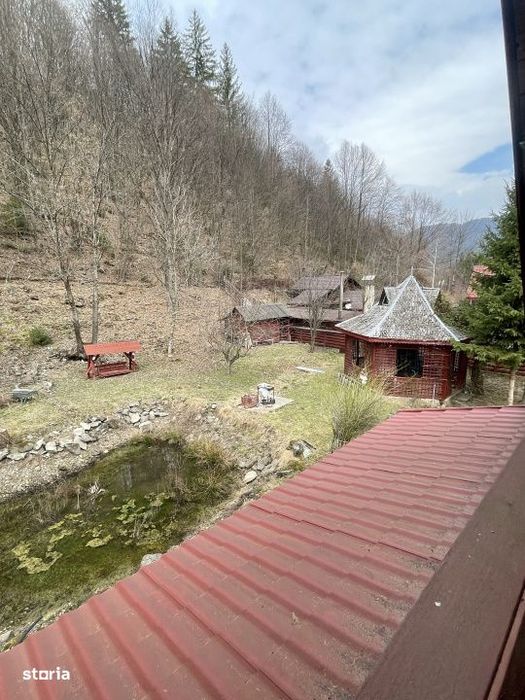 Oaza de liniste: casa + padure pana pe creasta muntelui
