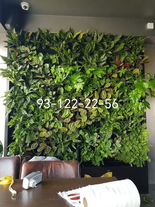 Искусственные цветы Фито стены suniy gullar