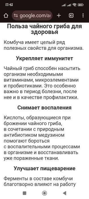 Гриб лечебный чайный