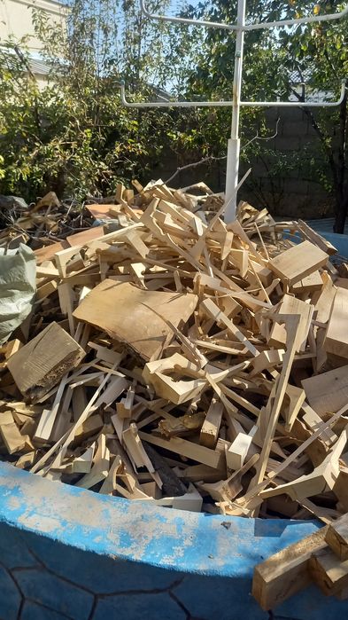 Отын агаш. Кара агаш