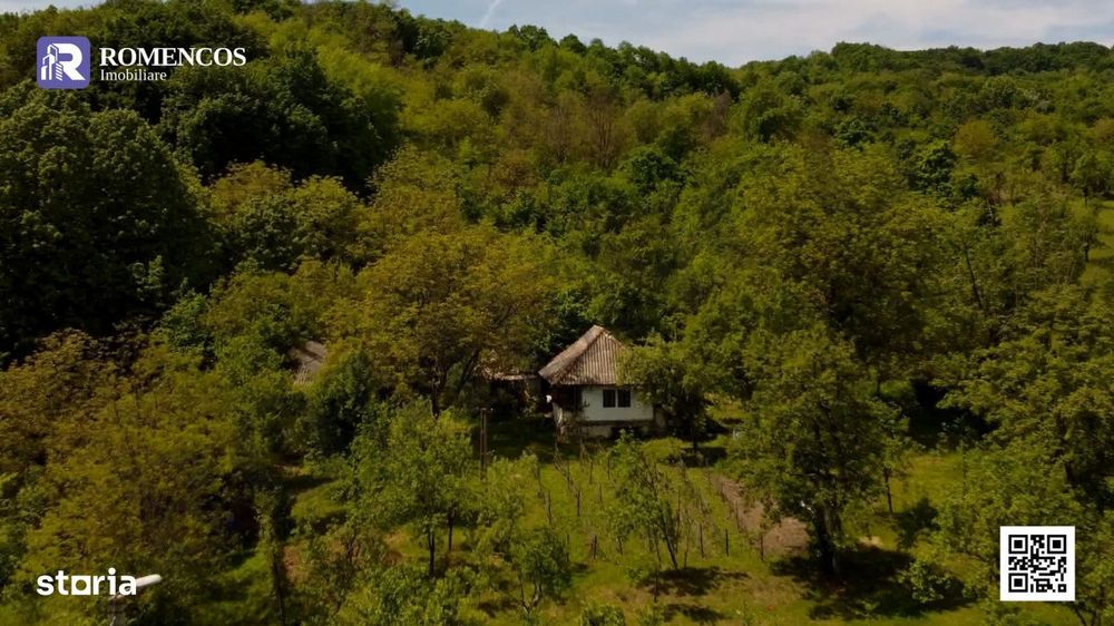 Casa traditionala in Sat Opresti, comuna Stalpeni, Arges