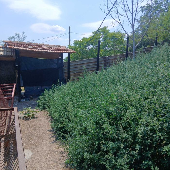 Продава се Парцел в с. Градище, Област Шумен - 1300 кв.м за 16 €/кв.м - Снимка #13