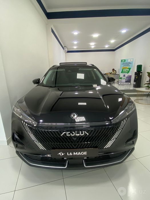 Dongfeng AEOLUS L6 Mage