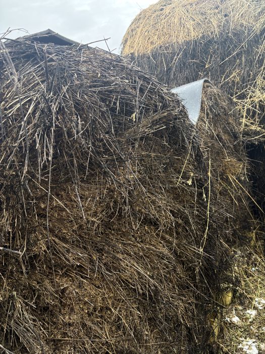 Baloti mari rotunzi de vanzare