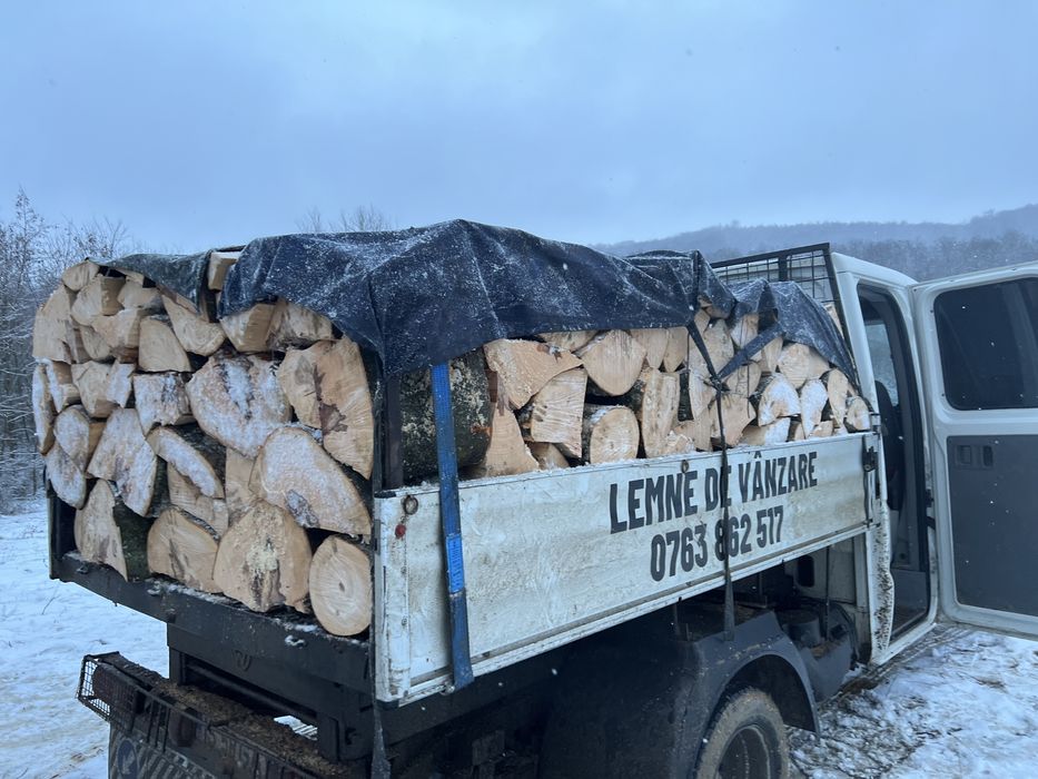 Lemne de foc preț acesibil pentru tota lumea
