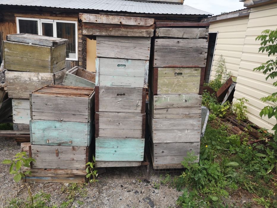 Пчелодомики магазины с рамками