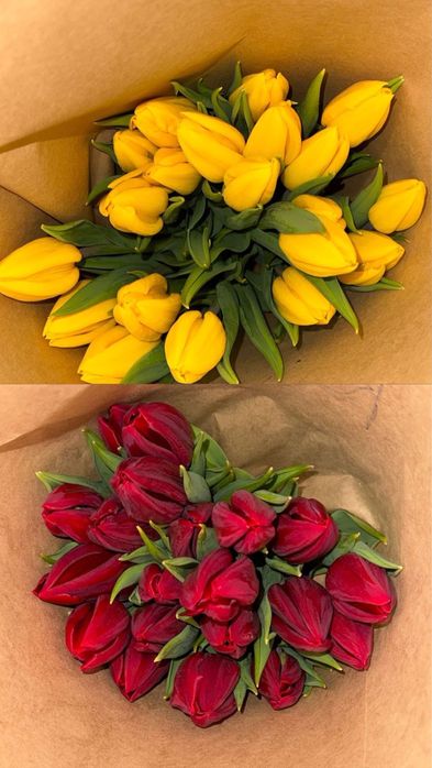 Тюльпаны по 650 крупные
