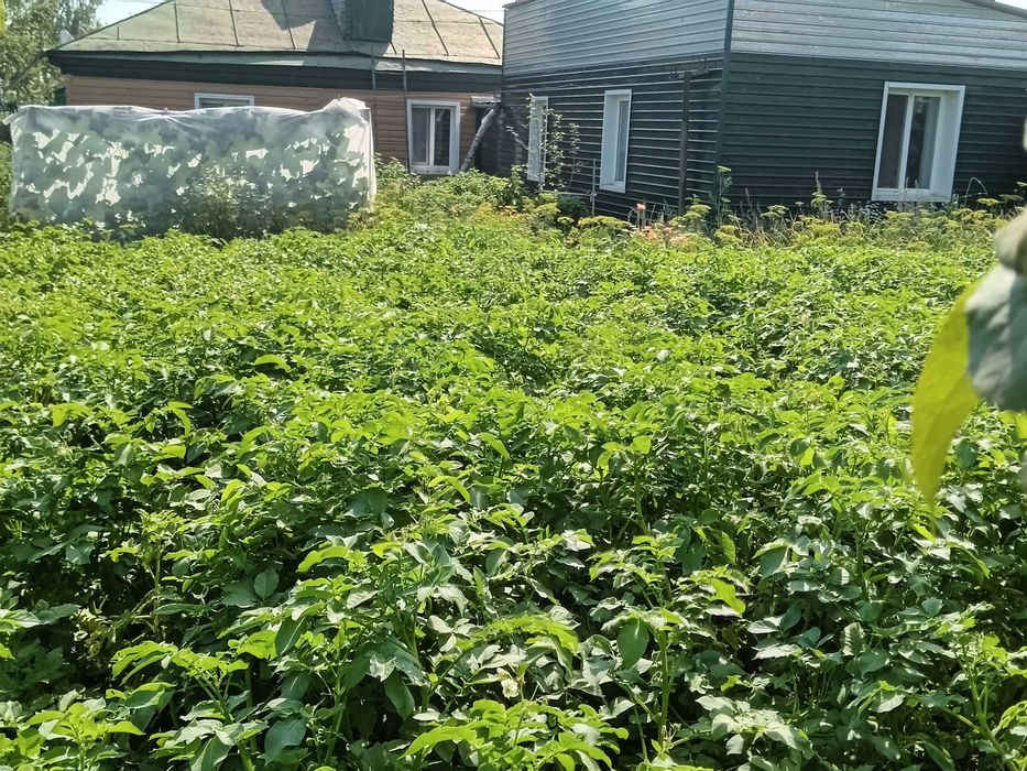 Продам частный дом