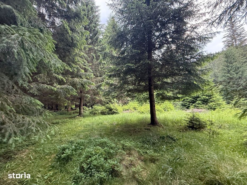 Teren intravilan de vânzare-COMANDAU /COVASNA-2500mp