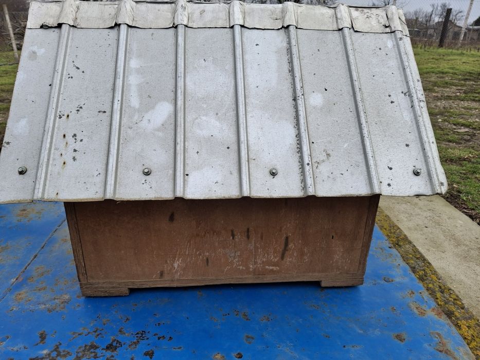 Vând cușcă câine