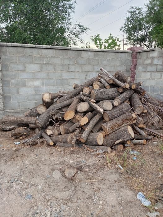 Продам дрова сухие
