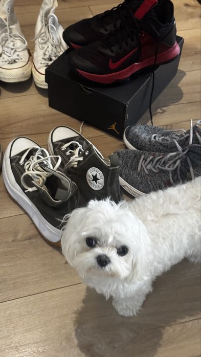 Мъжки маратонки Nike, Converse