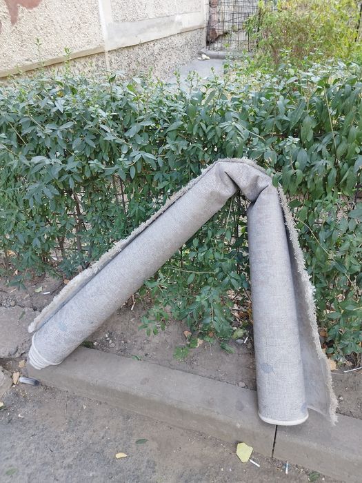 Продам ковёр. Продам палас