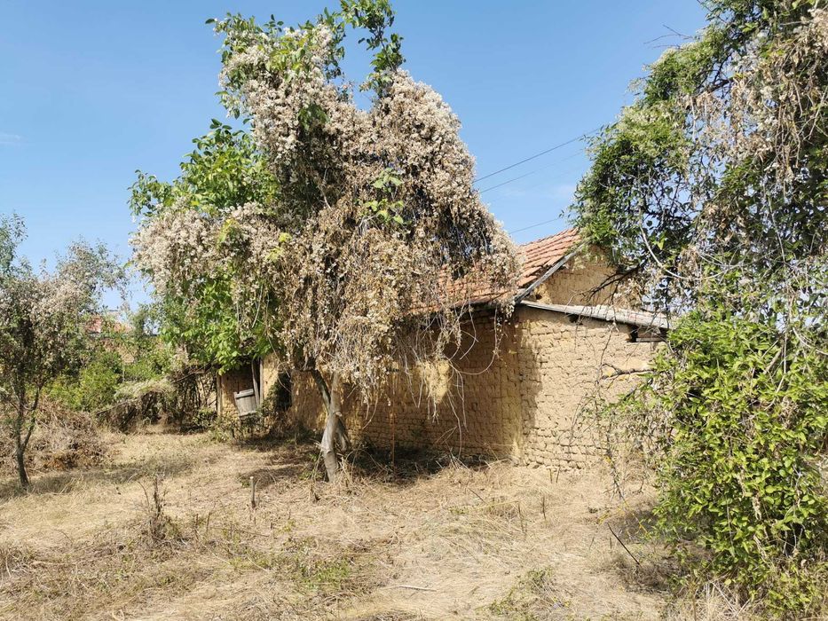 Продавам къща в село Дъбово, област Стара Загора