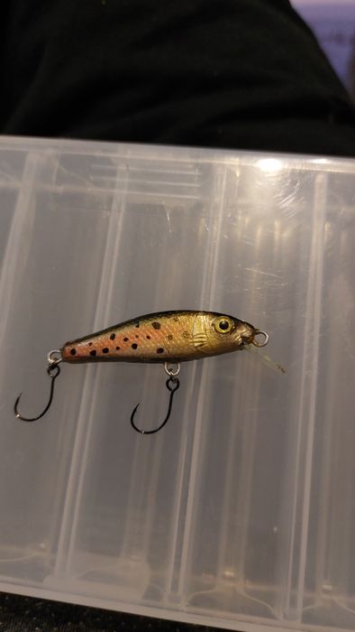 Воблери за пъстърва