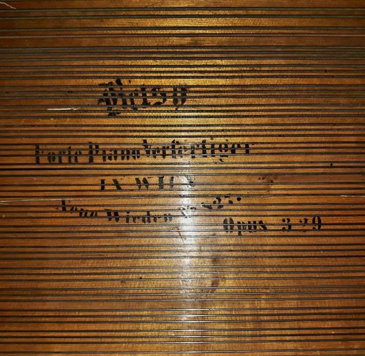 Pian vienez Emrich Betsy cu coada lunga