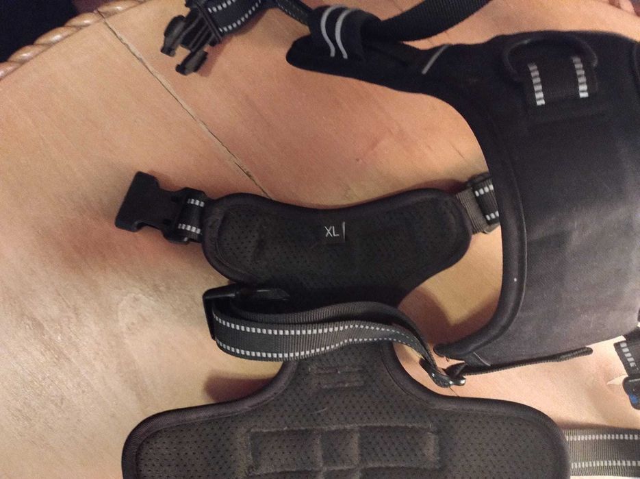 Ham catei, harness dog, lesa - zgarda